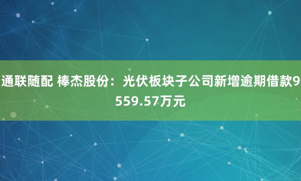 通联随配 棒杰股份：光伏板块子公司新增逾期借款9559.57万元
