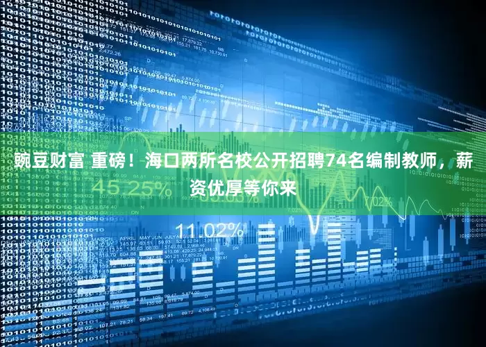 豌豆财富 重磅！海口两所名校公开招聘74名编制教师，薪资优厚等你来