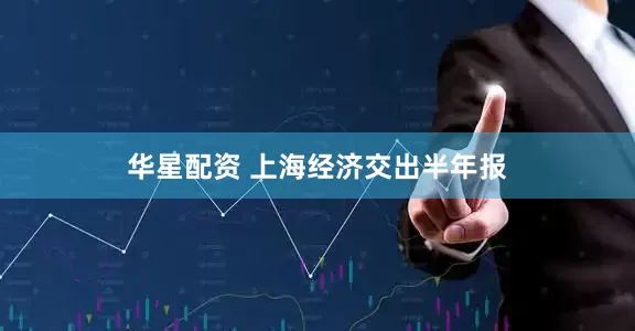 华星配资 上海经济交出半年报