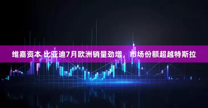 维嘉资本 比亚迪7月欧洲销量劲增，市场份额超越特斯拉